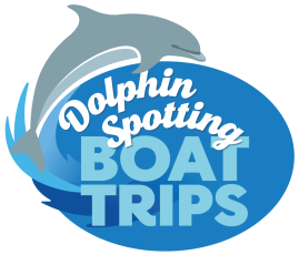 New Quay Boat Trips