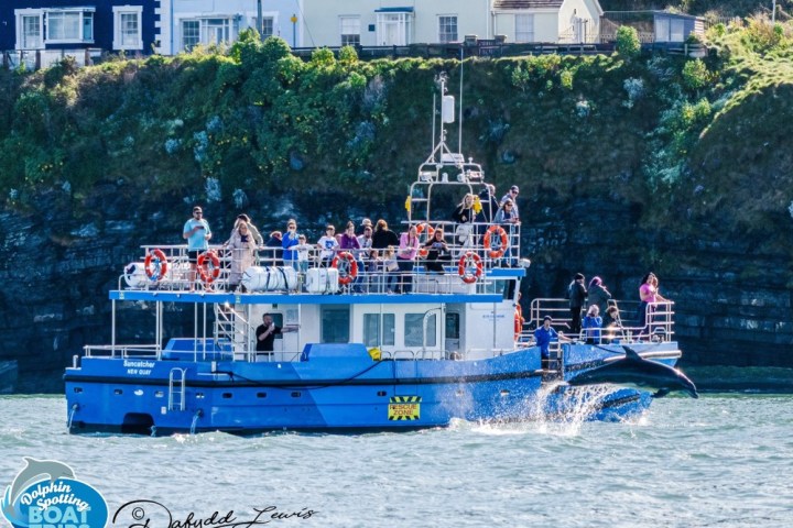 a group of people on a boat in the water